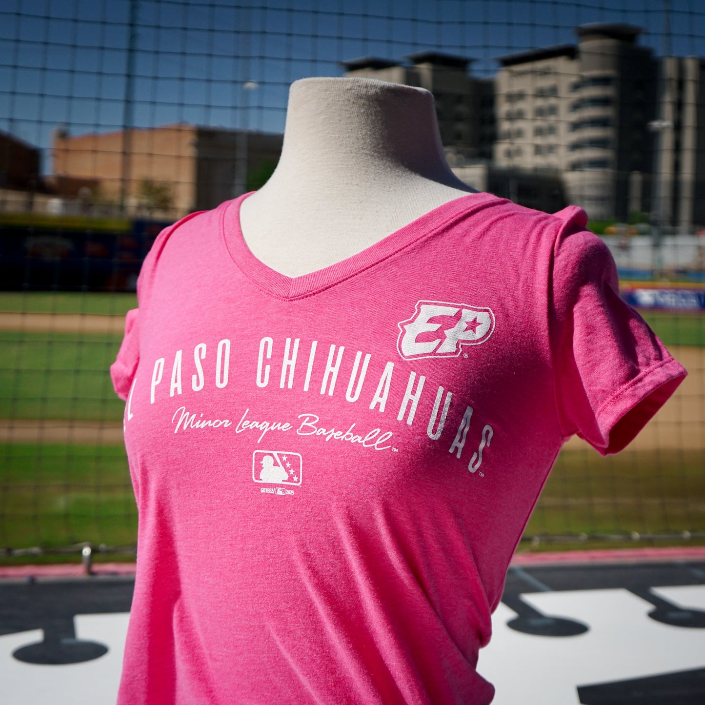 CHIHUAHUAS WOMENS PINK EP TEE- GOTEEZ