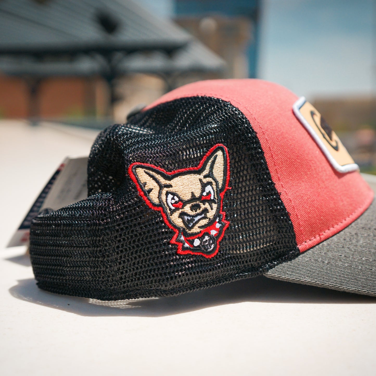 ELPASO CHIHUAHUAS BLACK CLOVER TRUCKER HAT