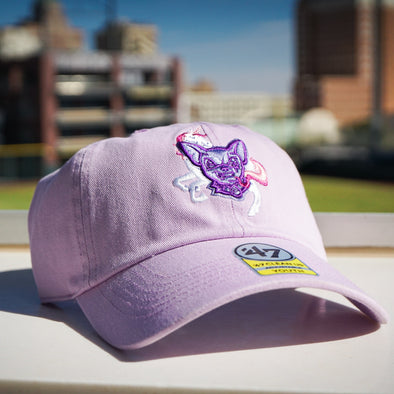 CHIHUAHUAS UNICORN ADJUSTABLE YOUTH HAT- 47 BRAND