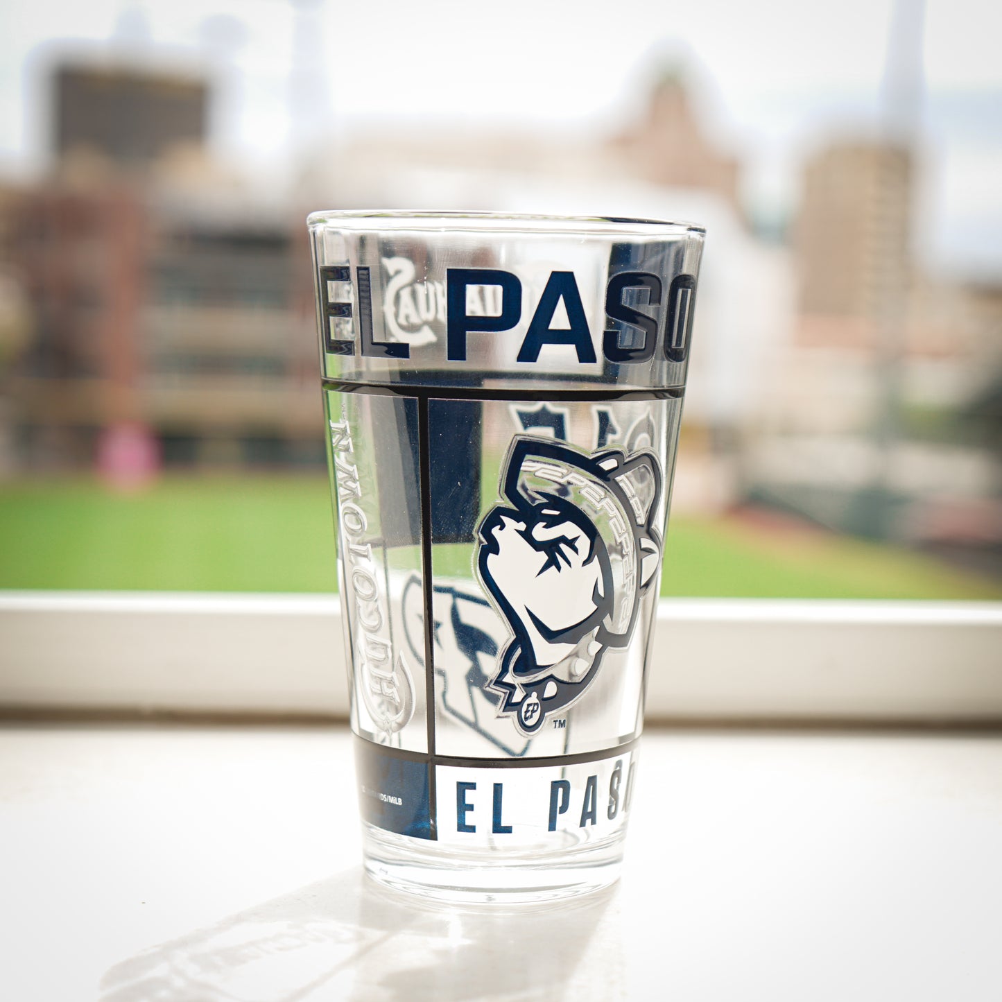 CHIHUAHUAS CHUCOTOWN 16 OZ PINT GLASS