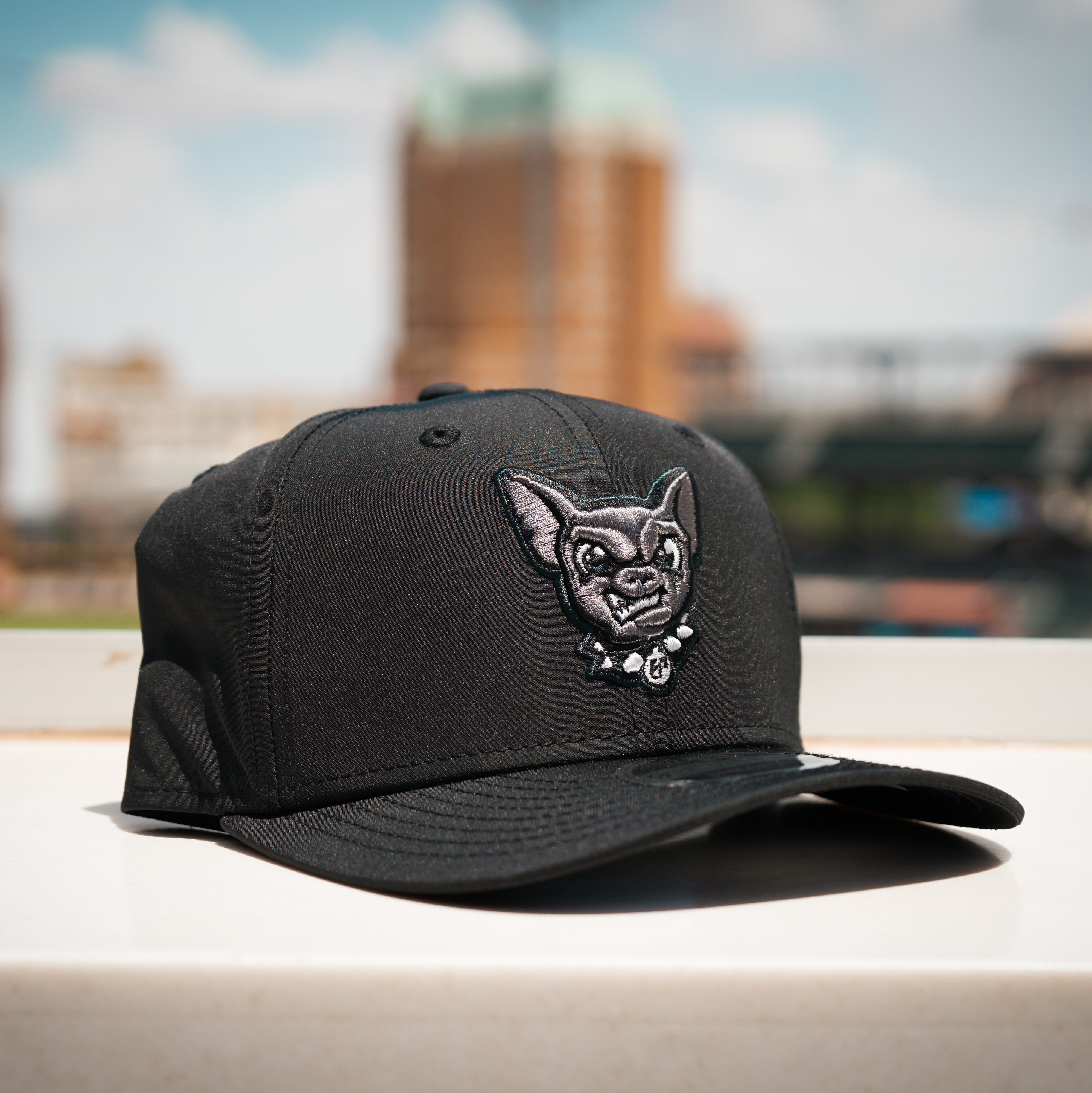 Collections – El Paso Chihuahuas Official Store