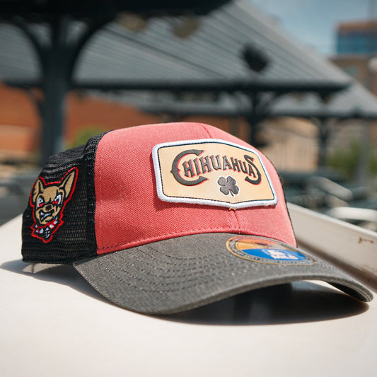 ELPASO CHIHUAHUAS BLACK CLOVER TRUCKER HAT