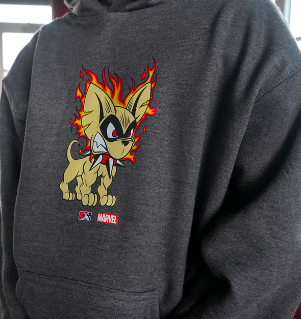 Chihuahuas Marvel’s Defenders of the Diamond Charcoal Youth Hoodie