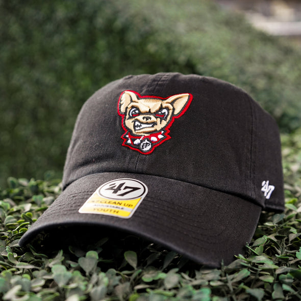 CHIHUAHUAS DOG HEAD '47 BRND CLEAN UP ADJUSTABLE HAT- YOUTH