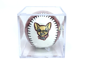 chihuahua baseball jersey｜TikTok Search